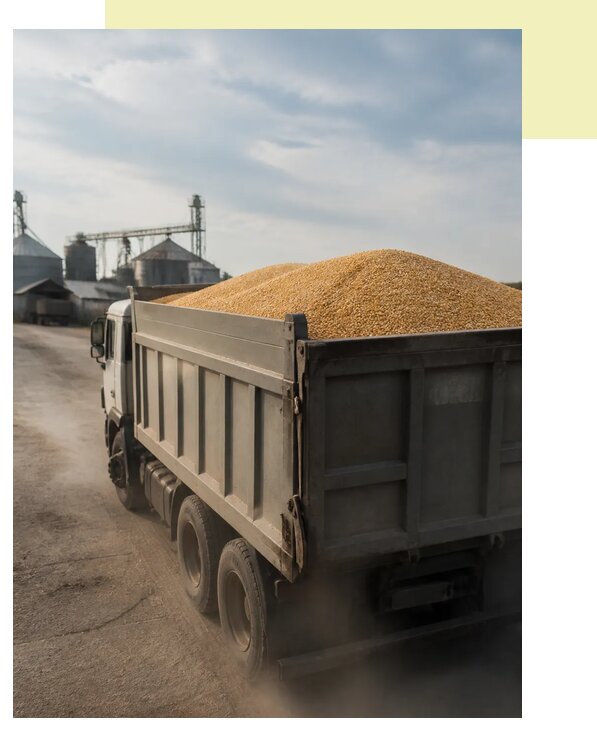 Перевозка сельхозпродукции навалом в Ртищево по цене от 3065 р. | Агросервис-Ртщ